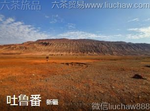新疆-吐鲁番,