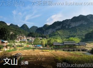 ����-��ɽ��