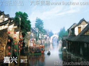 �㽭-���ˣ�