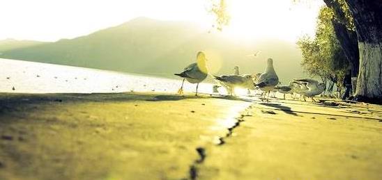 云南旅行茶暖花瘦昆明旅游之最棒体验参考