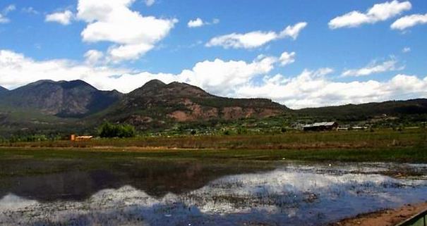 �����������ι���ʵ�òο�