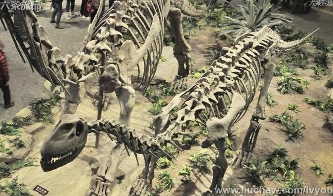 �й�����100��-��ͼ��10��