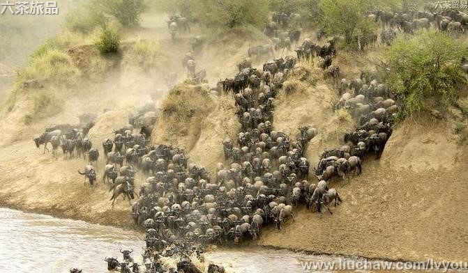 ��������50��-��ͼ��9��