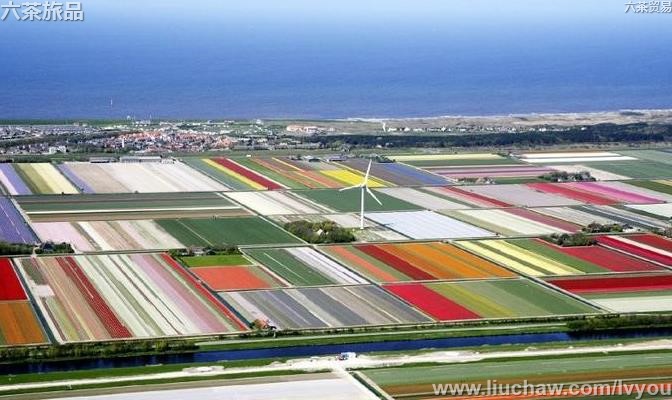 ��������50��-��ͼ��3��