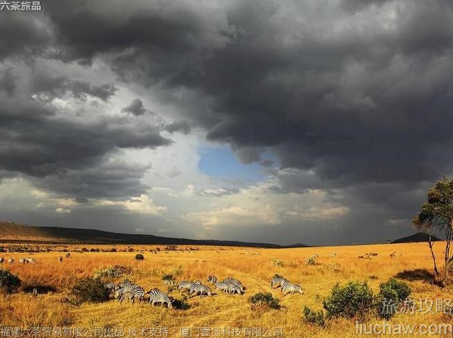 045�����������������ұ��������ι���