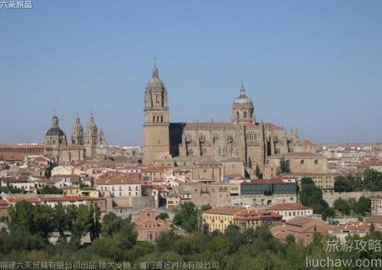 021���������������ϳ����ι���