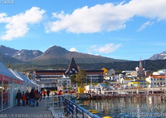 015����͢��˹���������ι���