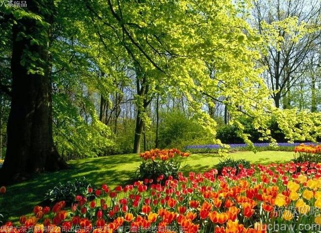 011������ϻ���԰���ι���