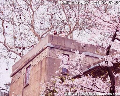 �й�ʮ��������ӣ��