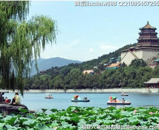 �й�ʮ�������ͺɻ�ʤ��