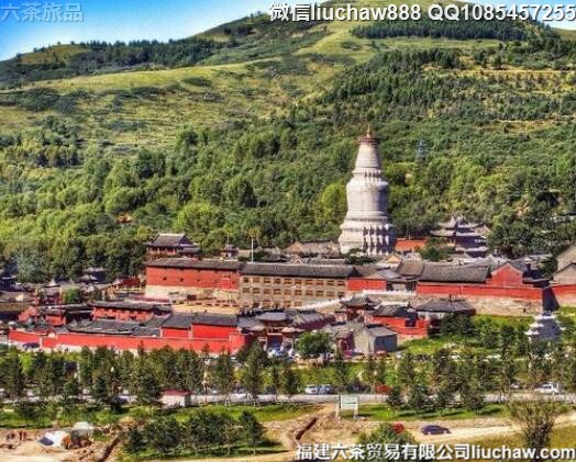 �й�ʮ��Ψ��7������������ʤ��