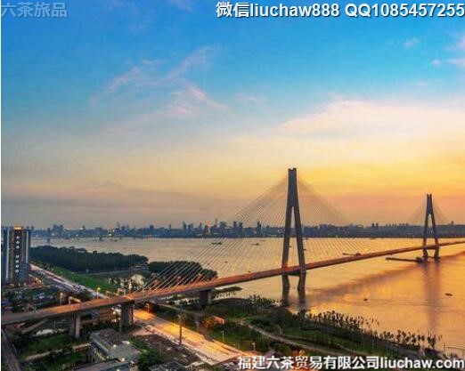 �������人ʮ����������