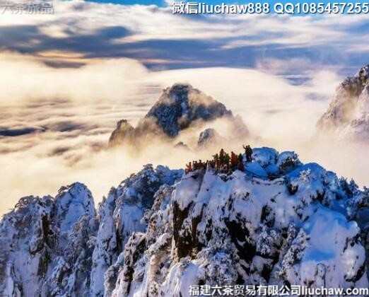 ���첻�ɴ����ľŴ��������