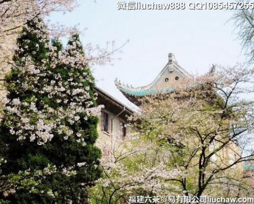 ���������ͻ�ʤ�ش��̵�