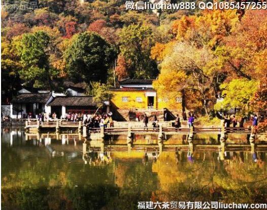 11�¹���ʮ����ֵ��ȥ������ʤ��