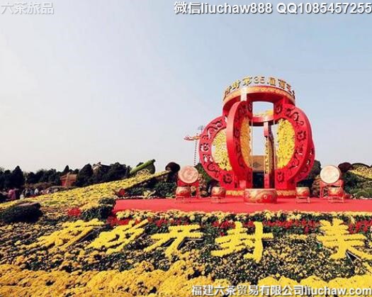 11�¹���ʮ����޵���ĩ����������