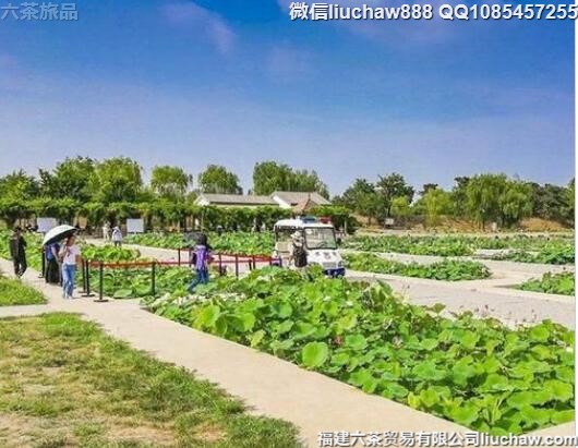 8�¹���ʮ��������ζȼ�ʤ��