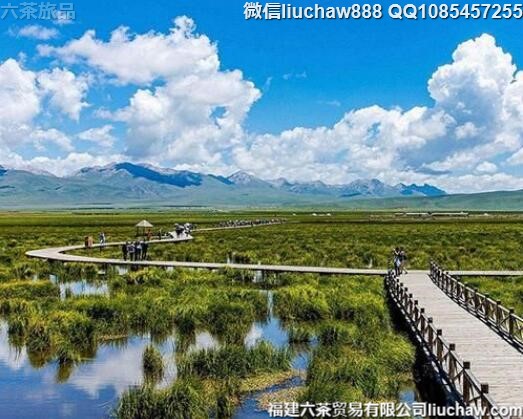 7�¹���ʮ����ɴ����Ķȼ�ʤ��