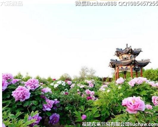 4�¹���ʮ�����̤��ʤ��