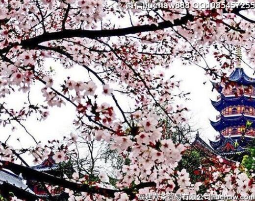 3�¹���ʮ�������紺�ͻ�����