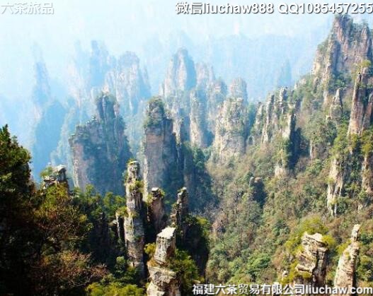 9��������������ʮ������