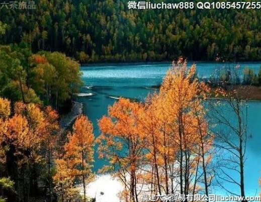 9��ʮ����������ﾰ