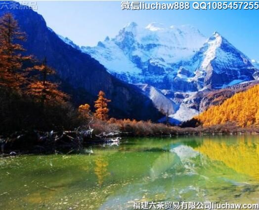 9����������Ƽ�����