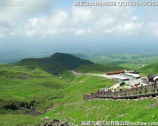 8����������Ƽ�����