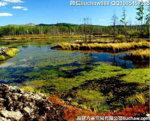 5����һ�����Ƽ�����