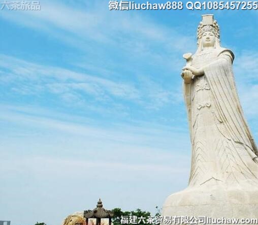 5����������Ƽ�����