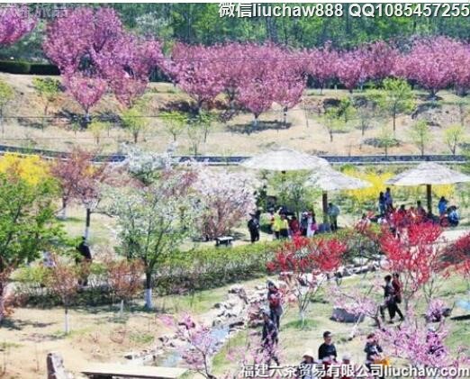 4��ʮ�������������ķô�ʤ��