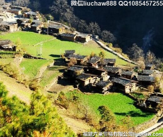 4����������Ƽ�����