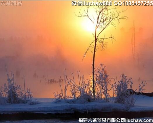 1����������Ƽ�����