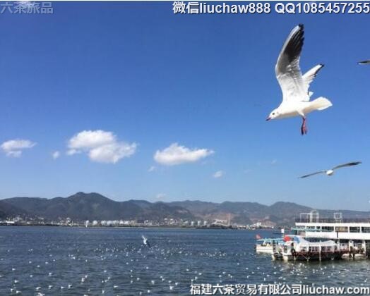 �����������������ι���