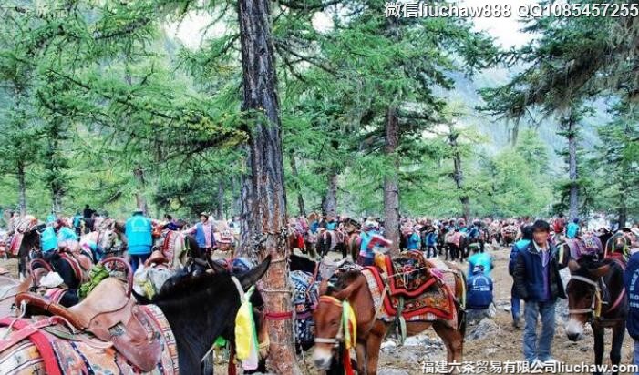 四川稻城亚丁自由行七日旅游攻略