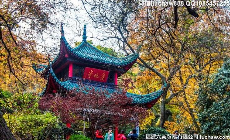 ��ɳ�������������ι���