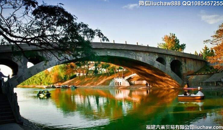 ʯ��ׯ�����ж������ι���