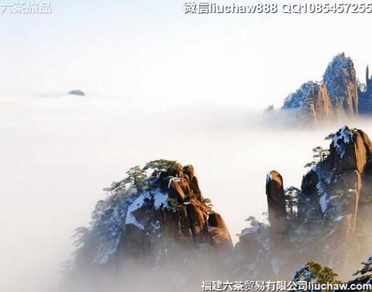 ��ɽ�������������ι���