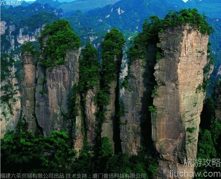 004 5A�����żҽ�����Դ���ι���