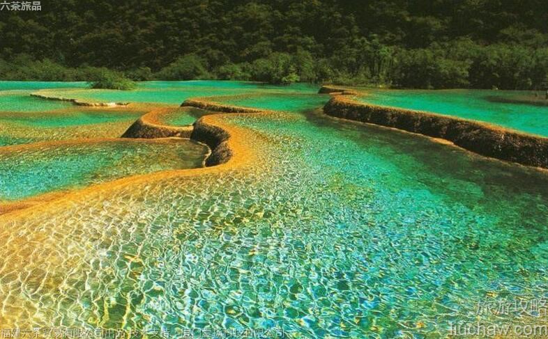 005 5A�Ĵ���կ�����ι���