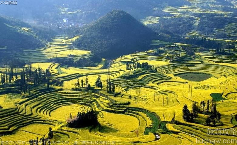 066 ������ƽ�Ͳ˻������ι���