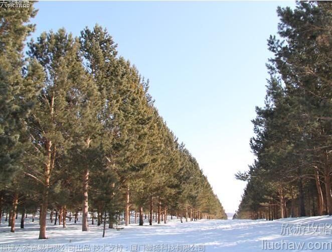 046 3A���������˰�����Ķ����԰���ι���