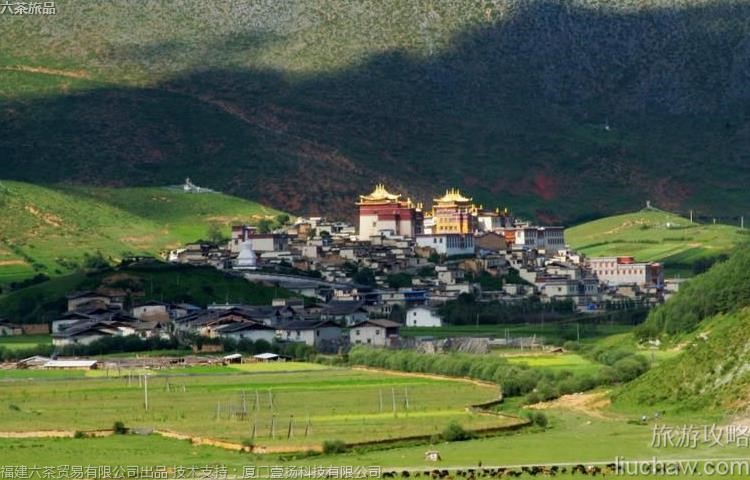 037 ��������������ι���