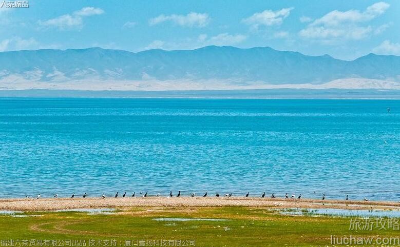 020 5A青海湖旅游攻略 020 5A青海湖旅游攻略