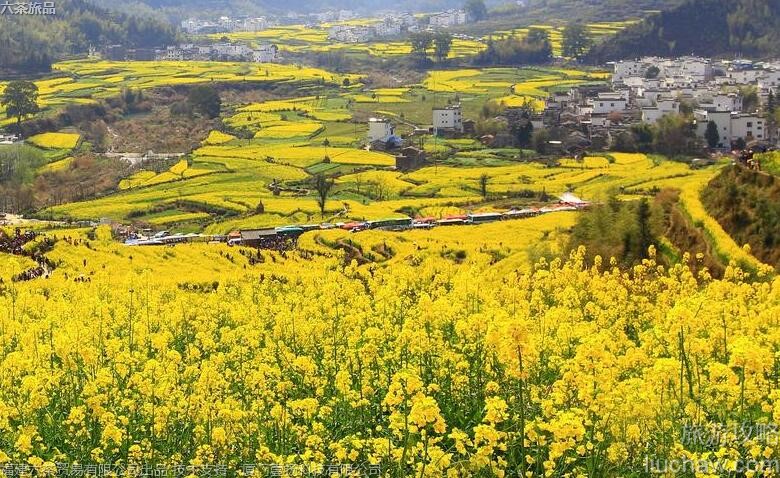 012 江西婺源风景区旅游攻略 012 江西婺源风景区旅游攻略