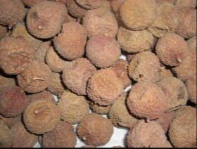 �ӻ���֦��