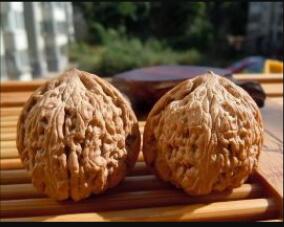 ��¡����