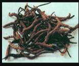 �����Ĳ�.