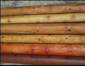 ����ľ����