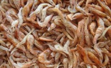 Ұ����Ϻ��